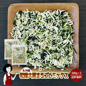 大根 100gの人気商品 通販 価格比較 価格 Com 大根 100gの人気商品 通販 価格比較 価格 Com