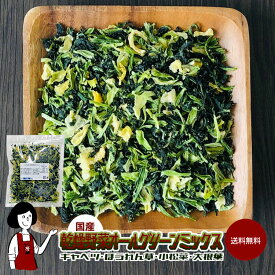 乾燥野菜オールグリーンミックス〔チャック付〕／国産 乾燥野菜 キャベツ ほうれん草 小松菜 大根葉 送料無料 チャック付 ミックス ボイル済み ドライベジ アウトドア キャンプ 保存食 時間短縮 スープ こわけや