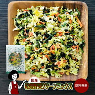 【ジャンルSALE10％OFF!】国産 乾燥野菜グリーンミックス ／ 国産 乾燥野菜 ほうれん草 キャベツ 人参 送…