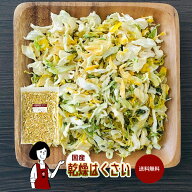 国産 乾燥はくさい ／ チャック付 送料無料 白菜 ボイル済み ドライベジ アウトドア キャンプ 保存食 時…