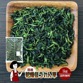 乾燥ほうれん草 1kg／国産 乾燥野菜 ホウレン草 宅配便 送料無料 ボイル済み ドライベジ アウトドア キャンプ 保存食 時間短縮 スープ こわけや