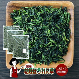 乾燥ほうれん草 1kg×3／国産 乾燥野菜 ホウレン草 宅配便 送料無料 ボイル済み 保存食 ドライベジ アウトドア キャンプ 時間短縮 スープ こわけや