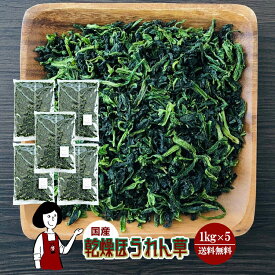 乾燥ほうれん草 1kg×5／国産 乾燥野菜 ホウレン草 宅配便 送料無料 ボイル済み ドライベジ アウトドア キャンプ 保存食 時間短縮 スープ こわけや