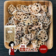 国産 乾燥れんこん ／ チャック付 送料無料 レンコン ボイル済み ドライベジ アウトドア キャンプ 保存食…
