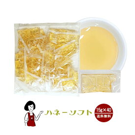 タカ食品 ハネーソフト　15g×40袋 メール便 送料無料 ジャム 九州 学校給食 給食用ジャム 小袋 パン スイーツ 使い切り はちみつ ハニー 小分け テイクアウト こわけや