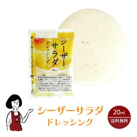 KP シーザーサラダドレッシング 20ml ／ 送料無料 小袋 使いきり ドレッシング 携帯用 アウトドア お弁当 イベント テイクアウト こわけや