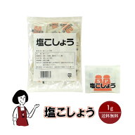 マルニ 塩こしょう 1g ／ 送料無料 小袋 使いきり 調味料 塩 白こしょう 胡椒 アウトドア お弁当 イベン…