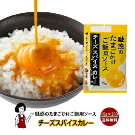 KP 魅惑のたまごかけご飯用ソース チーズスパイスカレー 15g／送料無料 小袋 使いきり 調味料 お弁当 イベント 肉料理 野菜料理 魚料理 小分け テイクアウト こわけや