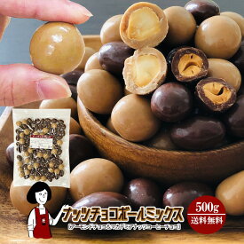 ＼半額／ナッツチョコボールミックス［アーモンドチョコ＆マカデミアナッツコーヒーチョコ］500g※