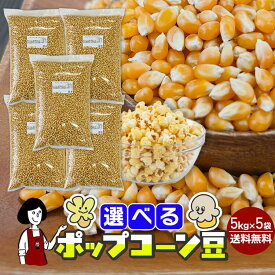 選べるポップコーン豆 500g・1kg・5kg／バタフライ豆・マッシュルーム豆／メール便 送料無料 コーン とうもろこし お菓子 ポップコーン豆 業務用 イベント 文化祭 大容量 手作りお菓子 キャラメル
