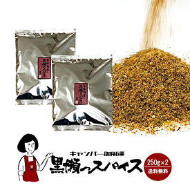 黒瀬のスパイス 250g×2(計500g)/詰め替え用 送料無料 アウトドア スパイス 万能調味料 混合調味料 キャンプ バーベキュー BBQ こわけや