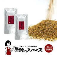 黒瀬食鳥 黒瀬のスパイス 100g ／ 詰め替え用 送料無料 かしわやくろせ アウトドア スパイス 万能調味料 …
