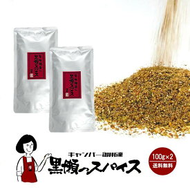 黒瀬食鳥 黒瀬のスパイス 100g ／ 詰め替え用 送料無料 かしわやくろせ アウトドア スパイス 万能調味料 混合調味料 キャンプ バーベキュー BBQ こわけや