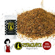 マジカルスパイス 100g＜詰替＞／詰め替え用 送料無料 ライフテック 万能 アウトドア スパイス 調味料 こ…