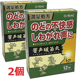 【2個】【メール便発送】【第2類医薬品】響声破笛丸エキス顆粒G　12包×2個（きょうせいはてきがん）