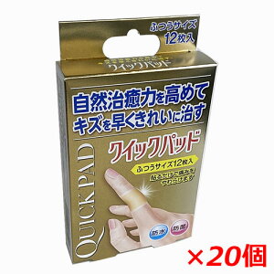 y20ZbgzLYꂢɎNCbNpbh ӂE12×20R͂߂܂