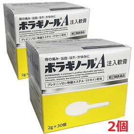 【第(2)類医薬品】ボラギノールA 注入軟膏 2g×30個×2箱