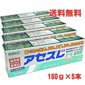 【緑色】【5個セット】【第3類医薬品】佐藤製薬 アセスL 160g×5個 宅配送料無料【コンビニ受取対応商品】