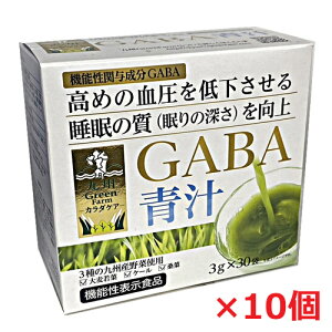 �y10�Z�b�g�z�y�@�\���\���H�i�zGF�J���_�P�AGABA�` 30��×10��