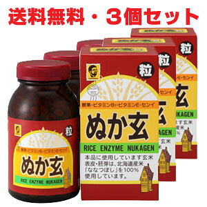 【3個セット】★送料無料★ぬか玄 粒 560粒【コンビニ受取対応商品】