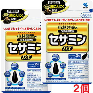 y2ZbgzsE[֔EZT~DX 60i30j×2 NnTvgiѐ̉h{⏕Hij