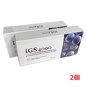 �y2�Z�b�g�z�t�B�W�J�� iGS4000 7.8g[1�J�v�Z���d��260mg(1�J�v�Z�����e��214mg)×30�J�v�Z��]�ys-s1�z�yco-1�z