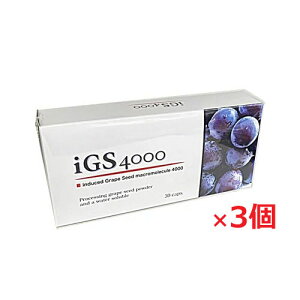 �y3�Z�b�g�z�t�B�W�J�� iGS4000 7.8g[1�J�v�Z���d��260mg(1�J�v�Z�����e��214mg)×30�J�v�Z��]�ys-s1�z�yco-1�z