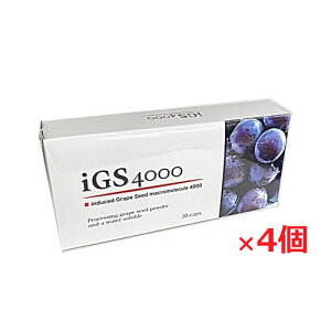 �y4�Z�b�g�z�t�B�W�J�� iGS4000 7.8g[1�J�v�Z���d��260mg(1�J�v�Z�����e��214mg)×30�J�v�Z��]�ys-s1�z