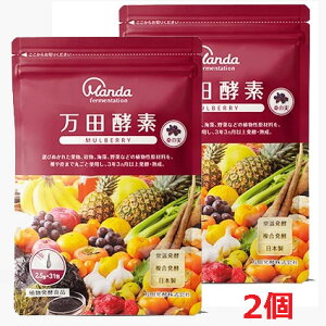 y2zy[֔Ezcyf MULBERRY y[Xgij^Cv 2.5g×31×2ys-s1z