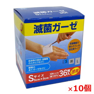 y10ZbgzŋۃK[[ESTCY36×10i@F5cm×5cm^12)100ysmtb-sz yRCPz