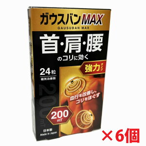 y6Zbgzy[֔zCÊKEXoMAX 24×6