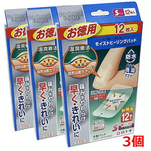 y3zy[֔zFCCXgq[Opbh Sp12×3iSF6cm×10cm@pbhF3.5cm×5cmj