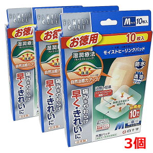 y3zy[֔zFCCXgq[Opbh Mp10×3iSF8cm×10cm@pbhF4.5cm×6cmj