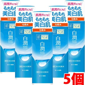 【5個】ロート製薬 肌ラボ 白潤薬用美白化粧水 170mL×5個【コンパクト】