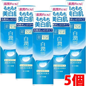 【5個】ロート製薬 肌ラボ 白潤薬用美白化粧水 しっとりタイプ 170mL×5個【コンパクト】