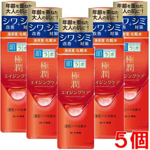 【5個】ロート製薬 肌ラボ 極潤 薬用ハリ化粧水 170mL×5個【co-1】