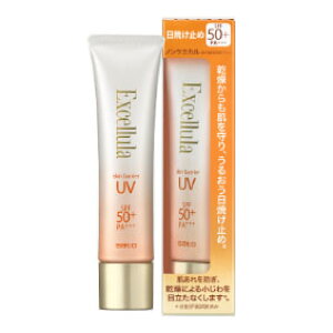 ysE[֔EzGNZ[ XLoA UV 40gqĂ~߁EpیN[r