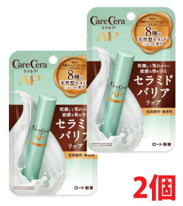 y2zy[֔z[g PAZ CXgoAbvN[ 2.4g×2