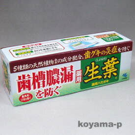 小林製薬 薬用生葉b（しょうよう）100g【医薬部外品】 【RCP】