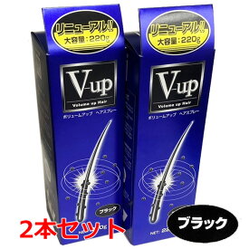 【ブラック】【2本セット】細毛・薄毛をボリュームアップ ピノーレ V−up ヘアスプレー ブラック 220g×2個【増毛スプレー・薄毛用スプレー・薄毛隠しスプレー】【コンビニ受取対応商品】