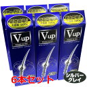 【シルバーグレイ】【6本セット】細毛・薄毛をボリュームアップ ピノーレ V−up ヘアスプレー シルバーグレイ 220g×6…