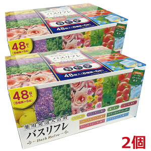 y2zy򕔊OizoXtpA 48×2i8×6j Y_KX eʁi{jCIP~J