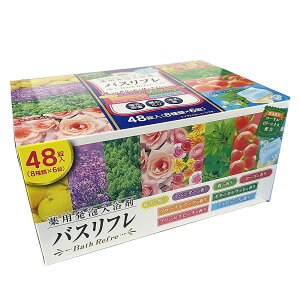 y򕔊OizoXtpA 48i8×6j Y_KX eʁi{jCIP~J