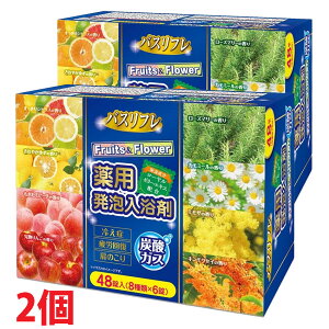 y2zy򕔊OizoXtpA 48×2i8×6j FruitsFlowerY_KX eʁi{jCIP~J