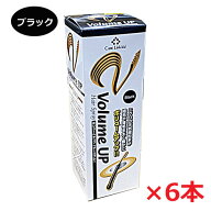 【6本セット】★送料無料★細毛・薄毛をボリュームアップヘアスプレー ブラック 200g×6個（薄毛隠しスプ…