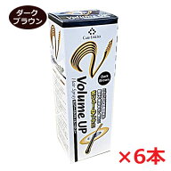 【6本セット】★送料無料★細毛・薄毛をボリュームアップヘアスプレー ダークブラウン 200g×6個（薄毛隠…