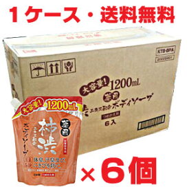 【1ケース】柿渋エキス配合薬用ボディーソープ詰替え 1200mL×6個Δ【医薬部外品】体臭、加齢臭対策に・保湿成分柿タンニンでしっとり！ 【RCP】