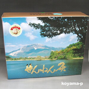 EƖp ˂ ߍ] 1800_ysmtb-sz yRCPz