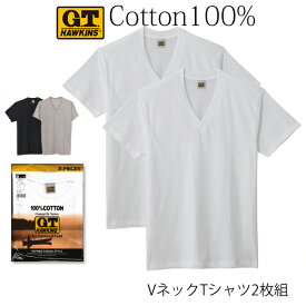 GUNZE G.T.HAWKINS メンズ Vネック Tシャツ 2枚組 綿100％ 天竺素材 V首 グンゼ GTホーキンス ＃Q1 01-HK10152[M便 1/1]