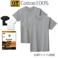 【メール便送料無料】GUNZE G.T.HAWKINS メンズ クルーネックTシャツ 2枚組 綿100％ 天竺素材 丸首 グン…